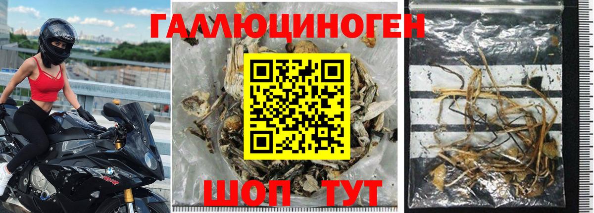 Псилоцибиновые грибы мухоморы  Вход с VPN  Гудермес  Галлюциногенные грибы ЛСД 